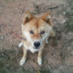 Meet your Posher, Taesoo